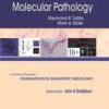 Cell and Tissue Based Molecular Pathology: A Volume in the Foundations in Diagnostic Pathology Series