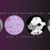 Chest and Cardiopulmonary Imaging – Marc V. Gosselin, M.D (Videos + PDF)