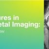2019 Classic Lectures in Musculoskeletal Imaging: What You Need to Know (CME Videos)