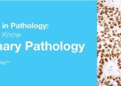 2019 Classic Lectures in Pathology: What You Need to Know: Genitourinary Pathology (CME Videos)