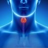 Comprehensive Review of Endocrine and Head and Neck Surgery 2014 (CME Videos)