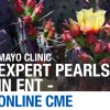 Mayo Clinic Expert Pearls in ENT: Full Course 2020 (CME VIDEOS)