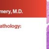 Expert Series with Elizabeth Montgomery, M.D.: Gastrointestinal Pathology: A One-On-One Tutorial 2021 (CME VIDEOS)