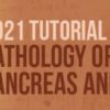 USCAP Tutorial in Pathology of the GI Tract, Pancreas and Liver 2021 (CME VIDEOS)