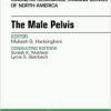 Ebook MRI of the Male Pelvis, An Issue of Magnetic Resonance Imaging Clinics of North America