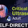 Critical Care Ultrasound: Adult Self-Directed 2020 (CME VIDEOS)