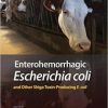 Enterohemorrhagic Escherichia coli and Other Shiga Toxin-Producing E. coli