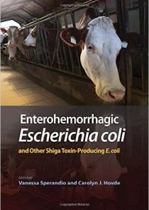 Enterohemorrhagic Escherichia coli and Other Shiga Toxin-Producing E. coli (EPUB)