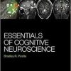 Essentials of Cognitive Neuroscience 1st Edition
