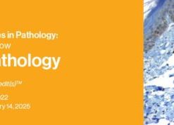 Classic Lectures in Pathology: What You Need to Know: Hematopathology 2022 (CME VIDEOS)