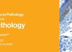 Classic Lectures in Pathology: What You Need to Know: Hematopathology 2022 CME VIDEOS