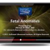 GCUS Fetal Anomalies 2022 (VIDEOS)