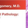 Expert Series with Elizabeth Montgomery, M.D.: Gastrointestinal Pathology: A One-On-One Tutorial 2018 (CME VIDEOS)