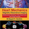 Heart Mechanics: Magnetic Resonance Imaging―Mathematical Modeling, Pulse Sequences, and Image Analysis (Volume 1) 1st Edition