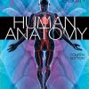 Human Anatomy, 4th Edition (Saladin)