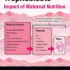 Human Placental Trophoblasts Impact of Maternal Nutrition