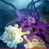 MD Anderson A Comprehensive Board Review in Hematology and Medical Oncology 2021 (CME VIDEOS)