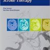 Interventional Stroke Therapy 1st Edition