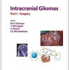Intracranial Gliomas Part I – Surgery (Progress in Neurological Surgery, Vol. 30) 1st Edition