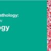 Classic Lectures in Pathology: What You Need to Know: Liver Pathology 2018 (CME VIDEOS)