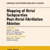 Mapping of Atrial Tachycardias post-Atrial Fibrillation Ablation, An Issue of Cardiac Electrophysiology Clinics, 1e