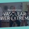 BachelorClass Vascular Lower Extremity 2019 (Videos)