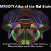 MRI / DTI Atlas của Rat Brain 1st Edition