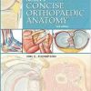 Netter’s Concise Orthopaedic Anatomy E-Book, Updated Edition (Netter Basic Science)