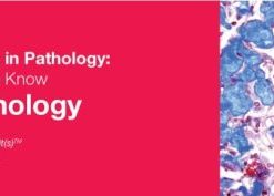 Classic Lectures in Pathology: What You Need to Know: Neuropathology 2018 (CME VIDEOS)