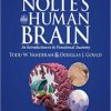 Nolte’s The Human Brain: An Introduction to its Functional Anatomy, 7th Edition (PDF)