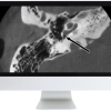 Deep Dive into Head and Neck Radiology 2020 (CME VIDEOS)
