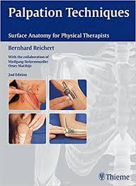 Palpation Techniques: Surface Anatomy for Physical Therapists 2nd
