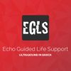 ECHO-Guided Life Support Using ultrasound to categorise shock and guide initial management (CME VIDEOS)