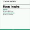 Plaque Imaging, An Issue of Neuroimaging Clinics of North America, 1e (The Clinics: Radiology)