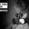 Prosthetic Perio Surgery (video course)