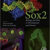 Sox2: Biology and Role in Development and Disease