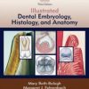 Student Workbook for Illustrated Dental Embryology, Histology and Anatomy, 3e