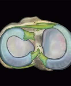 MRIOnline MRI Mastery Series: Knee 2021 (CME VIDEOS)