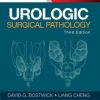 Urologic Surgical Pathology, 3rd Edition (PDF)