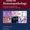 Atlas of Hematopathology: Morphology, Immunophenotype, Cytogenetics, and Molecular Approaches 2nd Edition