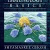 Computational Immunology: Basics 1st Edition