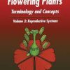 Embryology of Flowering Plants: Terminology and Concepts, Vol. 3: Reproductive Systems 1st Edition