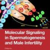 Molecular Signaling in Spermatogenesis and Male Infertility 1st Edition