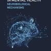 The Exercise Effect on Mental Health: Neurobiological Mechanisms 1st Edition