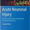 Acute Neuronal Injury: The Role of Excitotoxic Programmed Cell Death Mechanisms 2nd ed. 2018 Edition