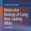 Molecular Biology of Long Non-coding RNAs 2nd ed. 2019 Edition