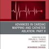 Advances in Cardiac Mapping and Catheter Ablation: Part II, An Issue of Cardiac Electrophysiology Clinics (The Clinics: Internal Medicine) 1st Edition