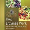 How Enzymes Work: From Structure to Function 2nd Edition