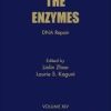 DNA Repair, Volume 45 (The Enzymes) 1st Edition