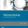 Mechanobiology: From Molecular Sensing to Disease 1st Edition